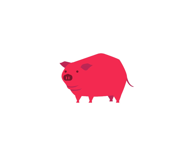 Pig