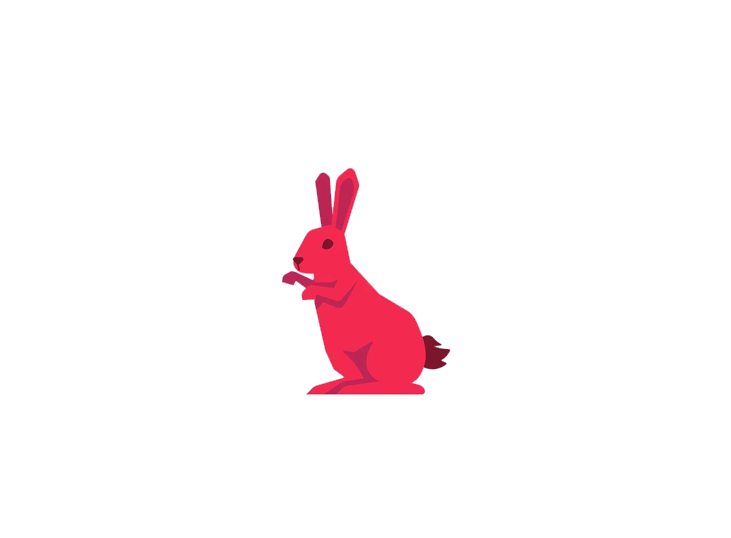 Rabbit